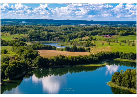 Działka na sprzedaż - Rogale, Stare Juchy, Ełcki, 20 000 m², 1 800 000 PLN, NET-830172