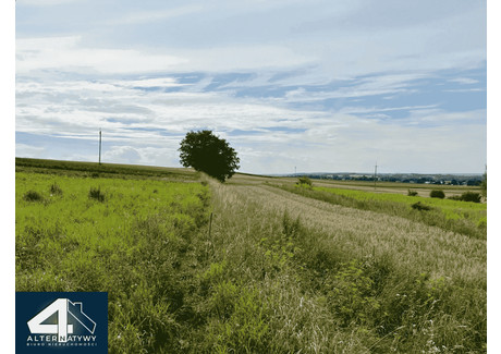 Działka na sprzedaż - Warszawska, Poskwitów, Krakowski, 1600 m², 350 000 PLN, NET-O-15523