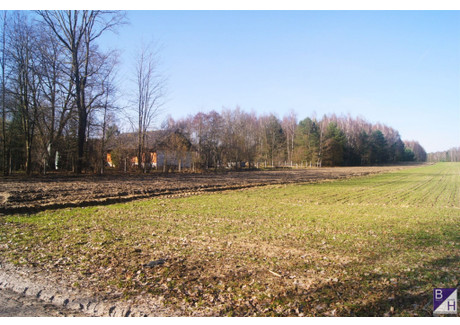 Działka na sprzedaż - Kuśnie, Sieradz, Sieradzki, 9700 m², 338 000 PLN, NET-BST-GS-334