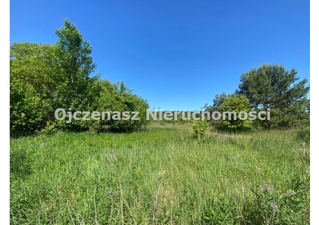 Działka na sprzedaż - Dąbrowa Chełmińska, Bydgoski, 6800 m², 486 000 PLN, NET-OJN-GS-123031