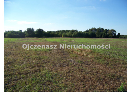 Działka na sprzedaż - Sicienko, Bydgoski, 1545 m², 178 000 PLN, NET-OJN-GS-124274