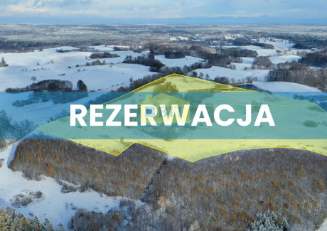 Działka na sprzedaż - Żerdno, Czaplinek, Drawski, 136 000 m², 748 000 PLN, NET-1024/3771/OGS