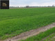 Rolny na sprzedaż - Piorunów, Władysławów (Gm.), Turecki (Pow.), 4300 m², 45 000 PLN, NET-51