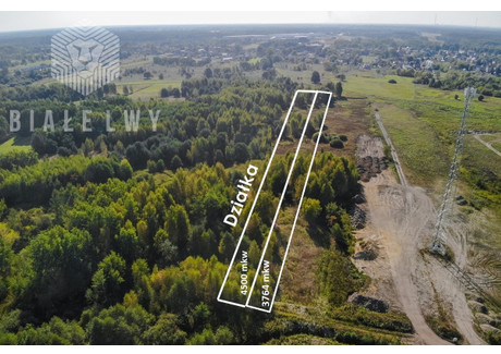 Działka na sprzedaż - Rzeczna Nadma, Radzymin, Wołomiński, 8264 m², 330 560 PLN, NET-BLN166093