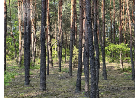 Działka na sprzedaż - Gęsianka, Dobre, Miński, 5200 m², 108 000 PLN, NET-BLN374189