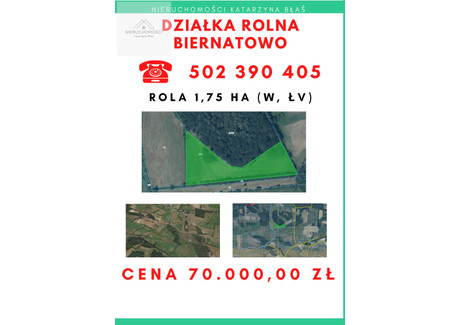 Działka na sprzedaż - Biernatowo, Trzcianka (Gm.), Czarnkowsko-Trzcianecki (Pow.), 17 500 m², 70 000 PLN, NET-5