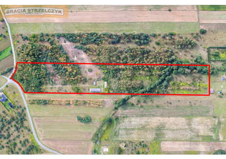 Działka na sprzedaż - Cybulice, Czosnów (Gm.), Nowodworski (Pow.), 40 100 m², 2 990 000 PLN, NET-222/9046/OGS