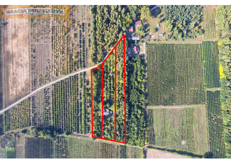 Działka na sprzedaż - Tomaszówka, Pniewy (Gm.), Grójecki (Pow.), 14 800 m², 1 358 000 PLN, NET-231/9046/OGS