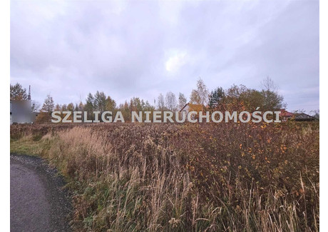 Działka na sprzedaż - Mikuszowina, Pyskowice, Gliwicki, 734 m², 230 000 PLN, NET-SLA-GS-1008