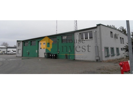 Magazyn, hala do wynajęcia - Legnica, 798 m², 22 900 PLN, NET-22/6038/OHW