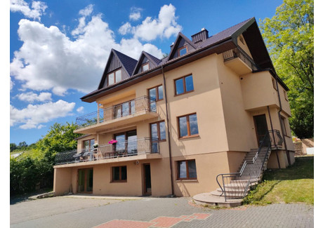 Hotel, pensjonat na sprzedaż - Kasztelańska Ostrzyce, Somonino, Kartuski, 575 m², 3 499 000 PLN, NET-EC763062