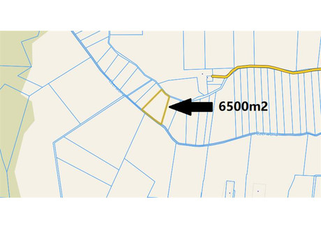 Działka na sprzedaż - Parnowo Biesiekierz, Biesiekierz (Gm.), Koszaliński (Pow.), 14 900 m², 110 600 PLN, NET-3402927