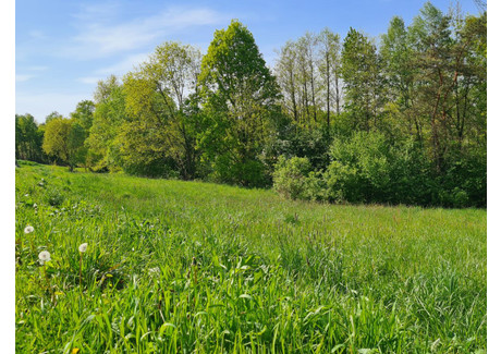 Działka na sprzedaż - Dziekanowice, Dobczyce, Myślenicki, 12 400 m², 85 000 PLN, NET-GP629366