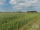 Rolny na sprzedaż - Stary Łajszczew, Puszcza Mariańska, Żyrardowski, 50 406 m², 495 000 PLN, NET-290