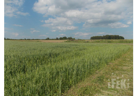 Działka na sprzedaż - Stary Łajszczew, Puszcza Mariańska, Żyrardowski, 50 406 m², 495 000 PLN, NET-290