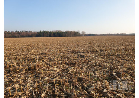 Działka na sprzedaż - Nowy Łajszczew, Puszcza Mariańska, Żyrardowski, 170 110 m², 1 590 000 PLN, NET-216