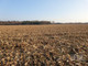 Rolny na sprzedaż - Nowy Łajszczew, Puszcza Mariańska, Żyrardowski, 170 110 m², 1 590 000 PLN, NET-216