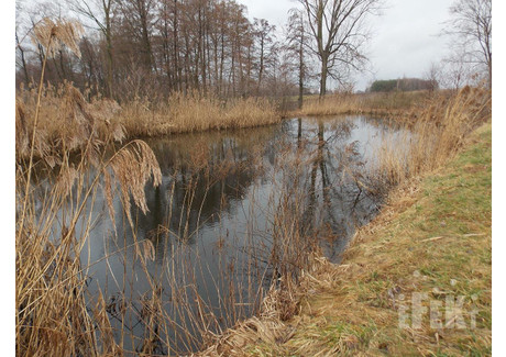 Działka na sprzedaż - Stary Łajszczew, Puszcza Mariańska, Żyrardowski, 5272 m², 405 000 PLN, NET-260