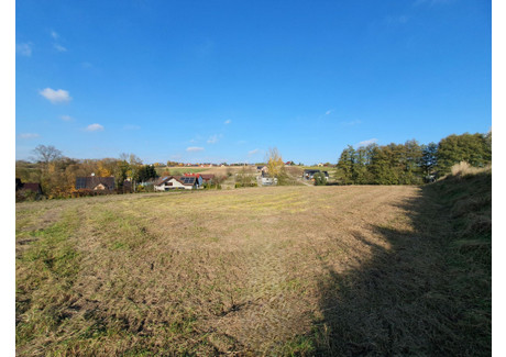 Działka na sprzedaż - Zdziesławice, Michałowice (Gm.), Krakowski (Pow.), 2830 m², 834 800 PLN, NET-333765