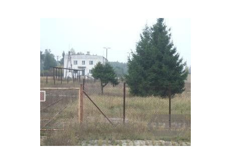 Działka do wynajęcia - Gębarzewo, Czerniejewo (Gm.), Gnieźnieński (Pow.), 20 000 m², 12 000 PLN, NET-15181048