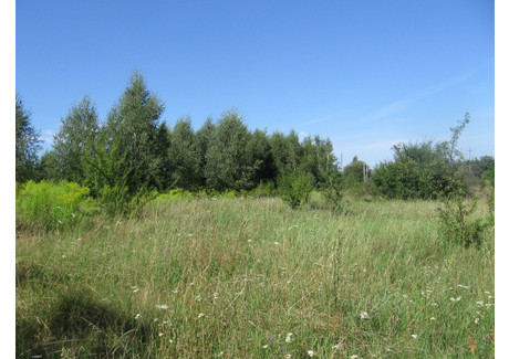 Działka na sprzedaż - Kraszewo, Iłowo-Osada (Gm.), Działdowski (Pow.), 19 600 m², 500 000 PLN, NET-21010062