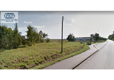 Działka do wynajęcia - Bystrze, Miłoradz (Gm.), Malborski (Pow.), 1200 m², 360 PLN, NET-16272123