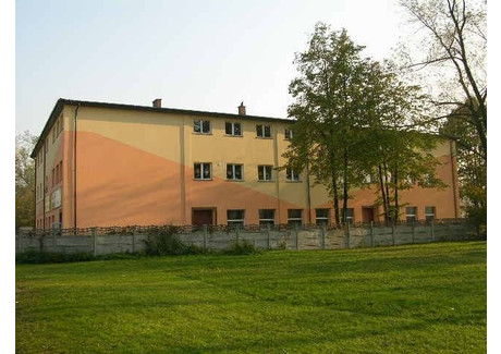 Biuro do wynajęcia - Inwalidów Wojennych Jaworzno, Śląskie, 1900 m², 750 PLN, NET-10300579