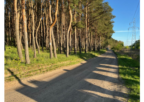 Działka na sprzedaż - Nadwarciańska Poznań, 1100 m², 539 000 PLN, NET-299/4142/OGS