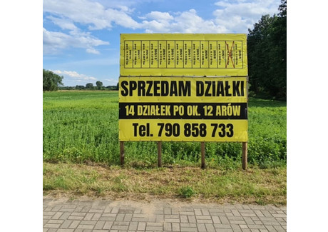 Działka na sprzedaż - Białcz, Witnica (gm.), Gorzowski (pow.), 1200 m², 72 000 PLN, NET-24084712