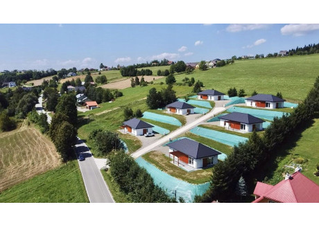 Dom na sprzedaż - Krużlowa Niżna, Grybów (Gm.), Nowosądecki (Pow.), 90 m², 578 780 PLN, NET-24084879