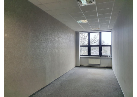 Biuro do wynajęcia - Piotrkowska Górna, Łódź, 28 m², 1176 PLN, NET-9