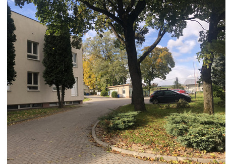 Biuro do wynajęcia - Niegoszowice, Zabierzów, Krakowski, 155 m², 3399 PLN, NET-253/5698/OLW