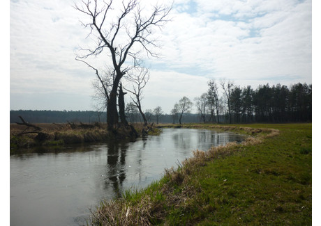 Działka na sprzedaż - Brzozie, Brzozie (Gm.), Brodnicki (Pow.), 61 500 m², 735 000 PLN, NET-47-184