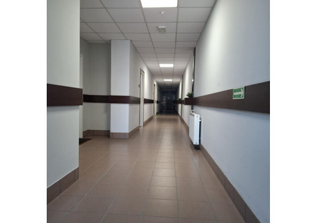 Biuro do wynajęcia - Górczyn, Grunwald, Poznań, 18 m², 864 PLN, NET-3220083