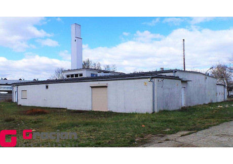 Fabryka, zakład na sprzedaż - Rogoźno, Obornicki, 800 m², 1 500 000 PLN, NET-136290255