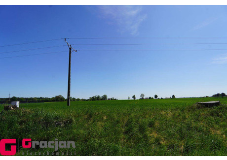 Działka na sprzedaż - Żerniki Oborniki, Obornicki, 1978 m², 236 000 PLN, NET-140100255