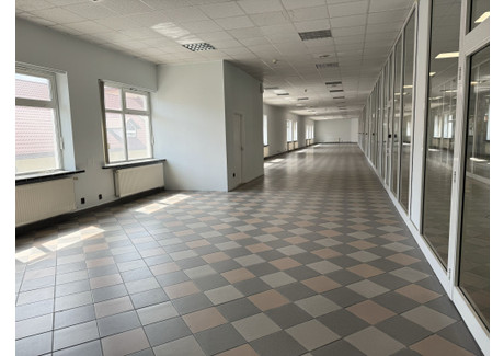 Lokal handlowy do wynajęcia - Aleja kard. Stefana Wyszyńskiego Kormoran, Olsztyn, 285 m², 10 545 PLN, NET-23