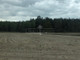 Rolny na sprzedaż - Rynarzewo, Szubin, Nakielski, 3618 m², 250 000 PLN, NET-GBN-GS-602