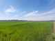 Rolny na sprzedaż - Bielawa, Konstancin-Jeziorna, Piaseczyński, 21 289 m², 532 225 PLN, NET-464/14487/OGS