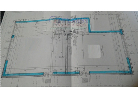 Lokal do wynajęcia - Gocław, Praga-Południe, Warszawa, 98 m², 10 000 PLN, NET-905/151/OLW