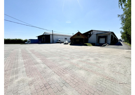 Magazyn do wynajęcia - Żytnia Duchnice, Ożarów Mazowiecki, Warszawski Zachodni, 980 m², 26 000 PLN, NET-88G469608