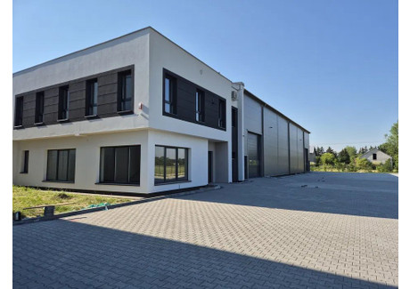 Magazyn do wynajęcia - Palmiry, Czosnów, Nowodworski, 1260 m², 45 000 PLN, NET-88G687034