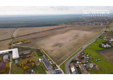 Działka na sprzedaż - Ostromecko, Dąbrowa Chełmińska, Bydgoski, 10 001 m², 1 000 000 PLN, NET-1834/14580/OGS