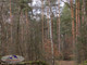 Leśne na sprzedaż - Gruszów Wielki, Dąbrowa Tarnowska, Dąbrowski, 11 500 m², 48 500 PLN, NET-JSN-GS-2333