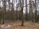 Leśne na sprzedaż - Gruszów Wielki, Dąbrowa Tarnowska, Dąbrowski, 32 500 m², 155 000 PLN, NET-JSN-GS-2011