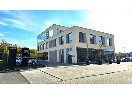 Biuro do wynajęcia - Opole, 115 m², 5175 PLN, NET-143/11864/OLW