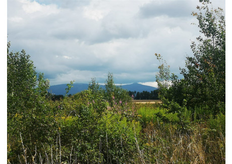 Działka na sprzedaż - Kromnów, Stara Kamienica, Karkonoski, 1556 m², 179 000 PLN, NET-362/14328/OGS