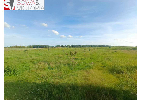 Działka na sprzedaż - Cieszów, Stare Bogaczowice, Wałbrzyski, 4624 m², 245 000 PLN, NET-670/14328/OGS