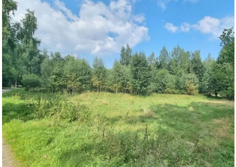 Działka na sprzedaż - Michałowice, Piechowice, Karkonoski, 7799 m², 1 199 000 PLN, NET-223/14328/OGS