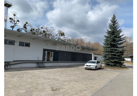 Magazyn do wynajęcia - Metalowców Gądów Mały, Fabryczna, Wrocław, 310 m², 12 000 PLN, NET-27940111